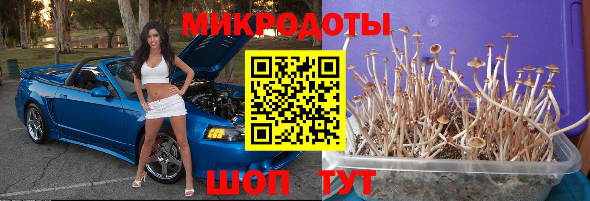 Псилоцибиновые грибы прущие грибы Елабуга