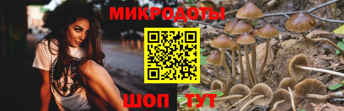 Елабуга  Псилоцибиновые грибы Psilocybe  Псилоцибиновые грибы Cubensis  Вход с VPN 